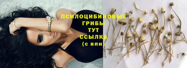 дурь Волоколамск