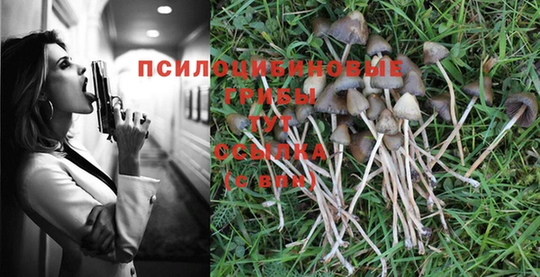 дурь Волоколамск