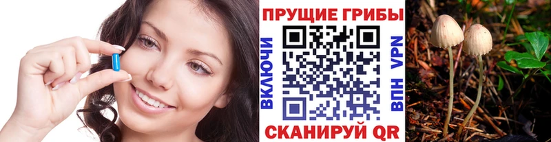купить наркоту Мончегорск OMG маркетплейс Псилоцибиновые грибы Cubensis