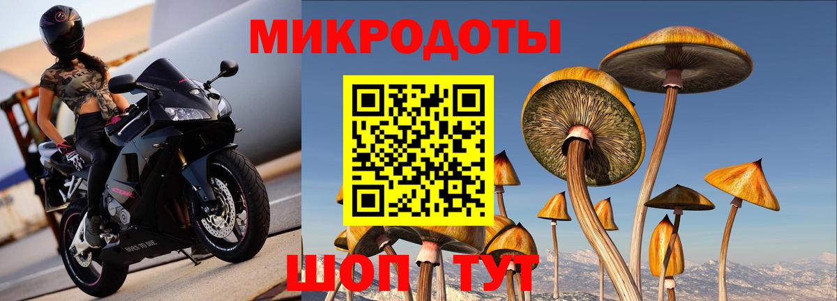 Мончегорск  Псилоцибиновые грибы ЛСД  Вход с VPN 